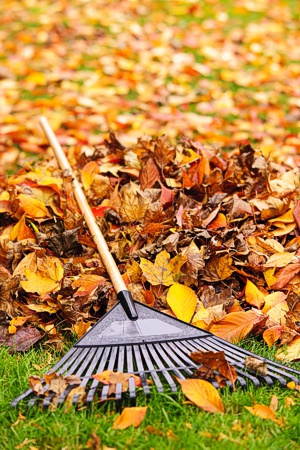 Allen Township Yard Waste Drop Off